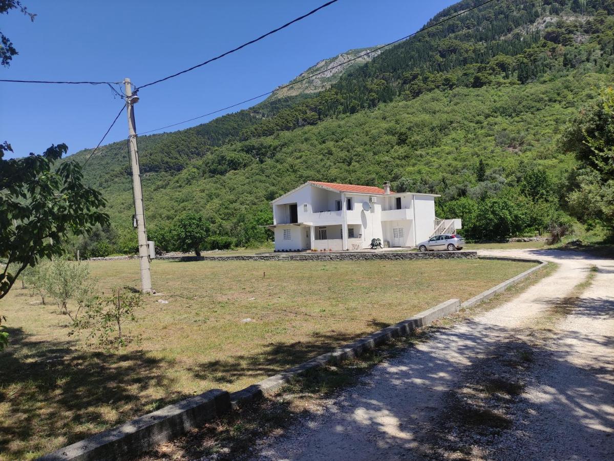 코토르 Apartman Bujkovic Sutvara 아파트 객실 사진